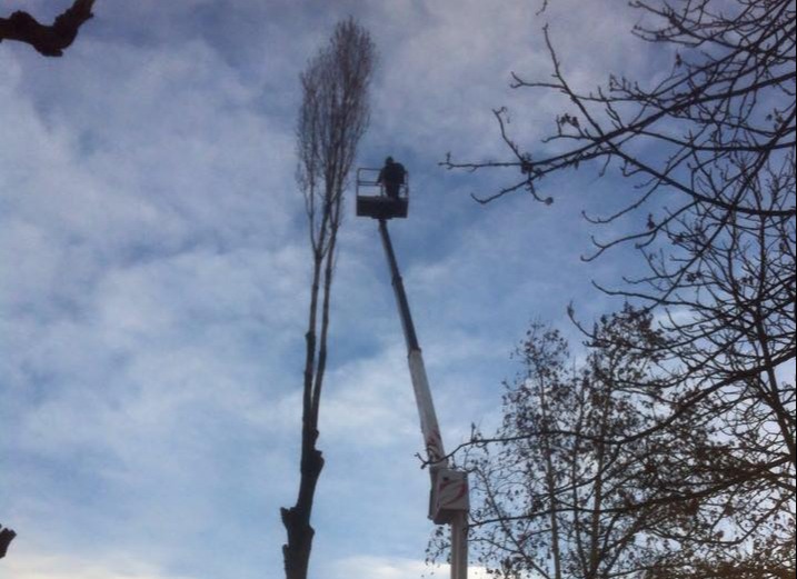 previdiguido_servizi