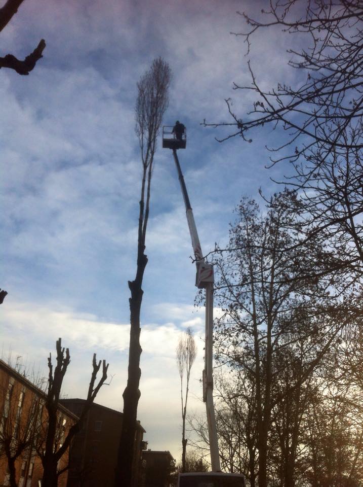 previdiguido_servizi