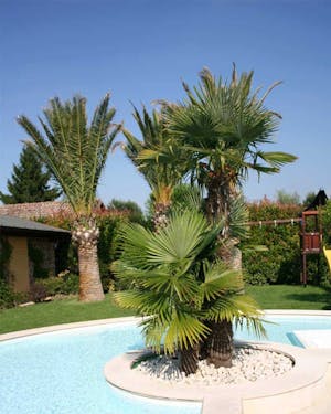 previdiguido_lavori8