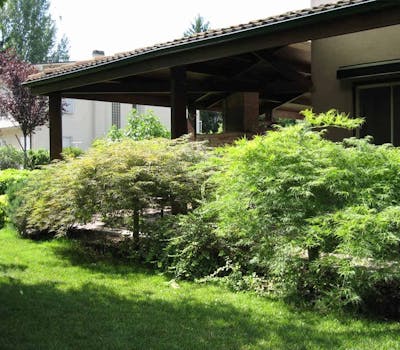 previdiguido_lavori8