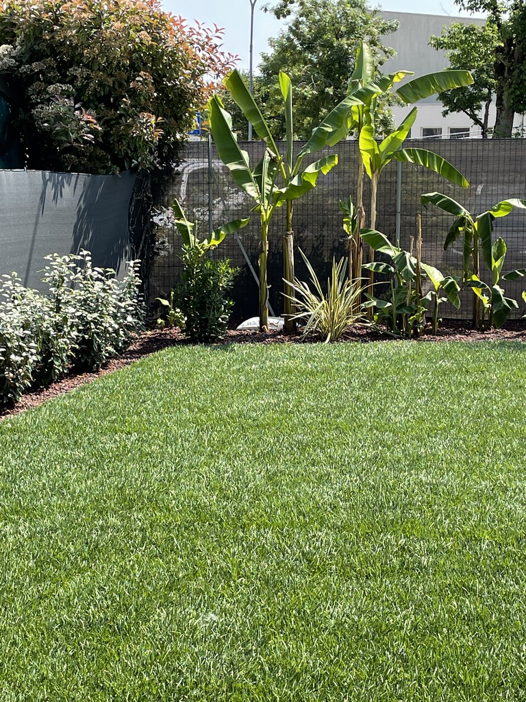 previdiguido_lavori8